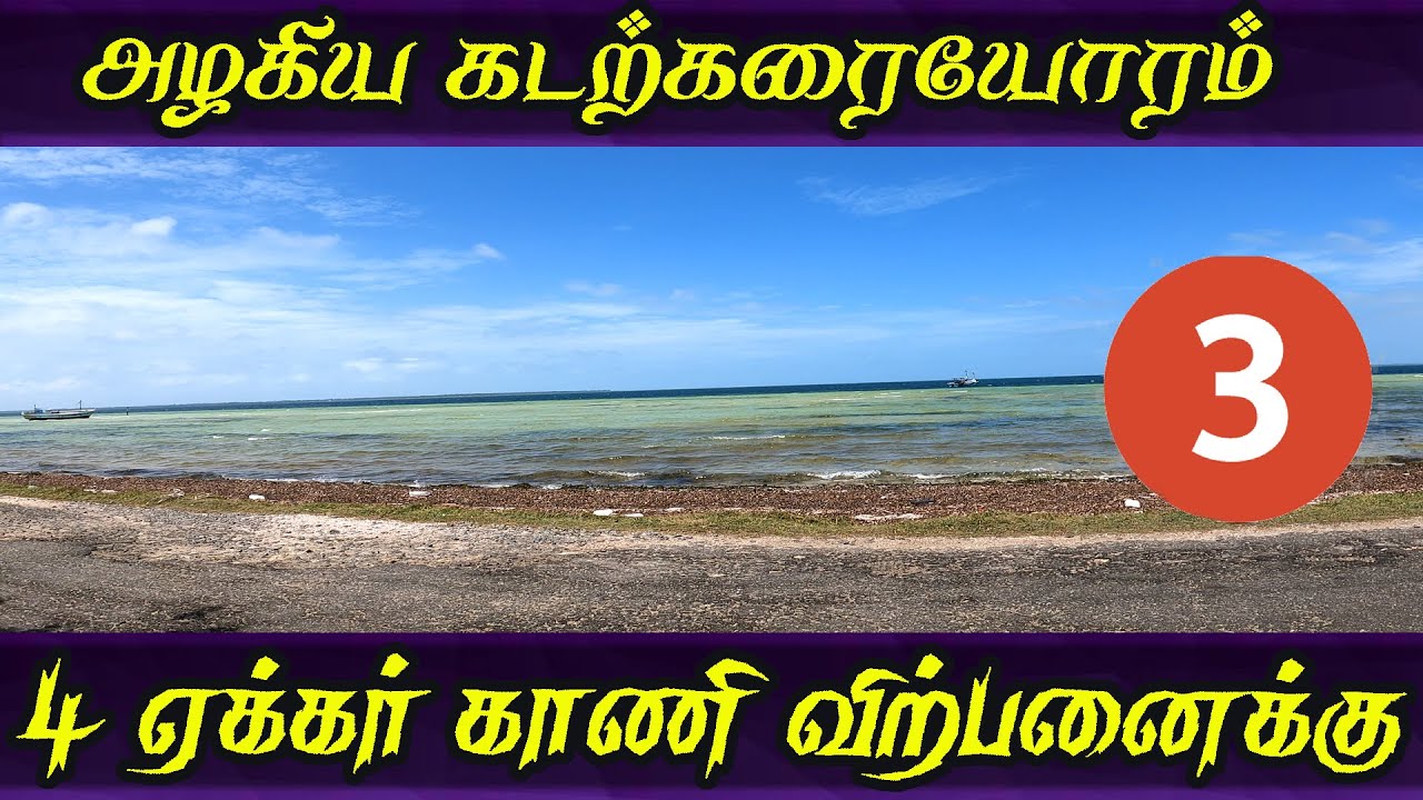 NP46 - கடற்கரையோரம் 4 ஏக்கர்  காணி விற்பனைக்கு  l 26 *16  Lakh l #landforsale #viral #jaffna