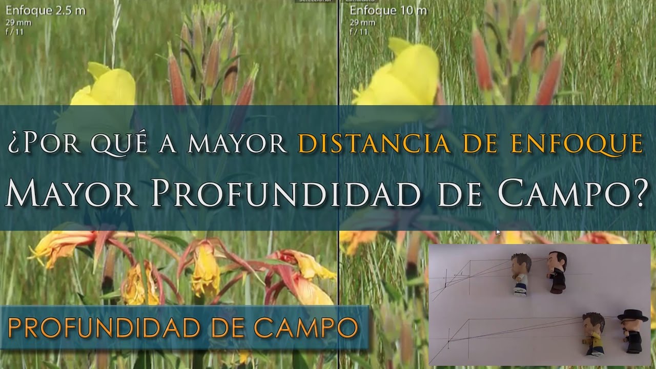 Profundidad de campo y Distancia de enfoque
