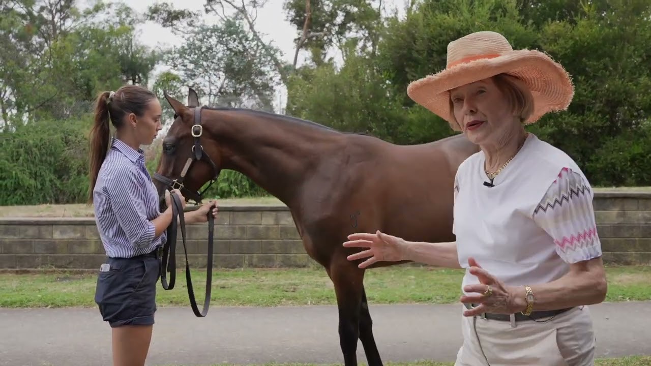 Inglis Premier Sale 2026: Wootton Bassett x Frankieta Filly