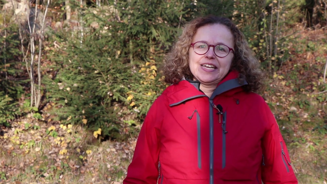 Meine Zukunft: Gabriele Neumann-Beiler zu 50 Jahren Nationalpark Bayerischer Wald