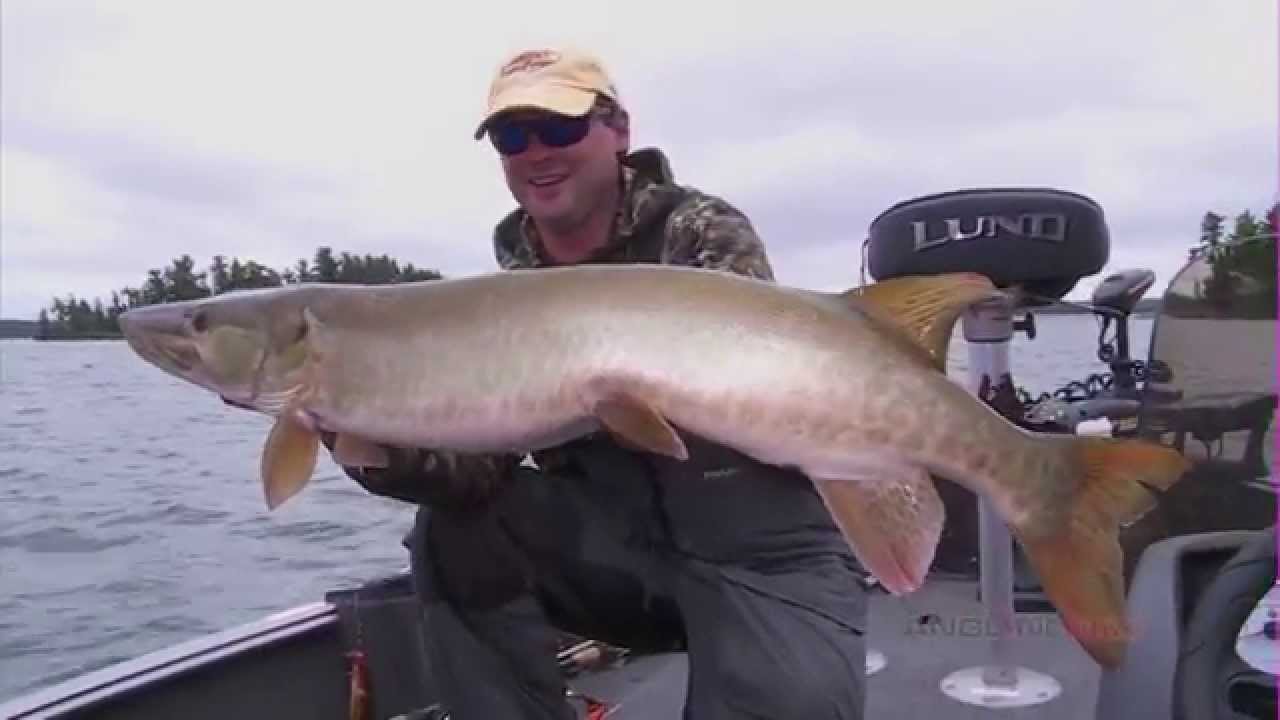 Musky Location Strategies in Summer