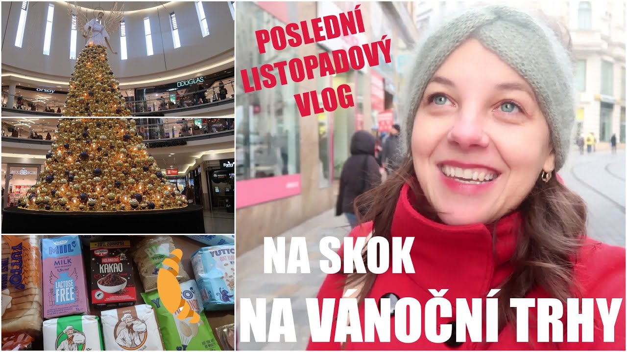 VLOG - nákupy 👗 jídlo z Rohlíku 🥐 město a trhy 🎄