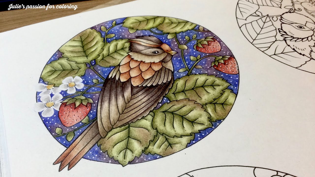 WORLDS OF WONDER by Johanna Basford - prismacolor pencils - color along