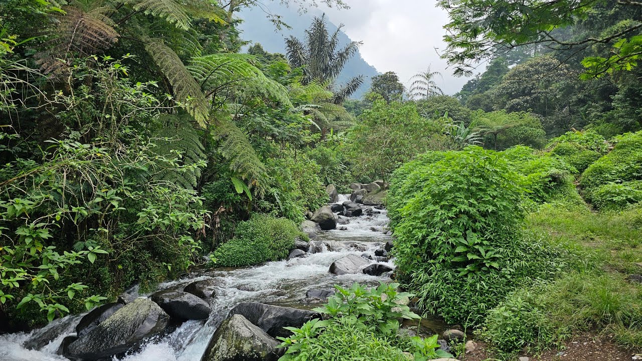 SUNGAI TERSEMBUNYI DI GUNUNG PUNTANG! Airnya Jernih & Asri Banget di Belakang Radio Malabar