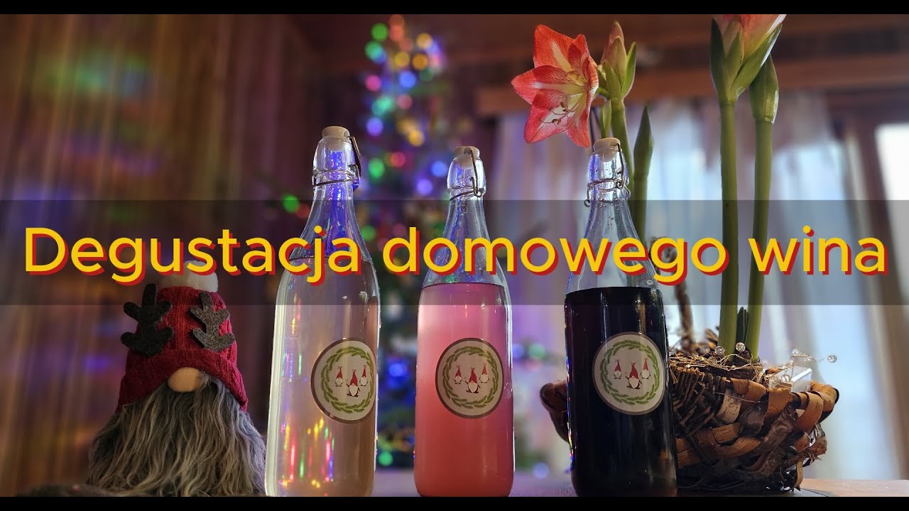 Degustacja domowego wina