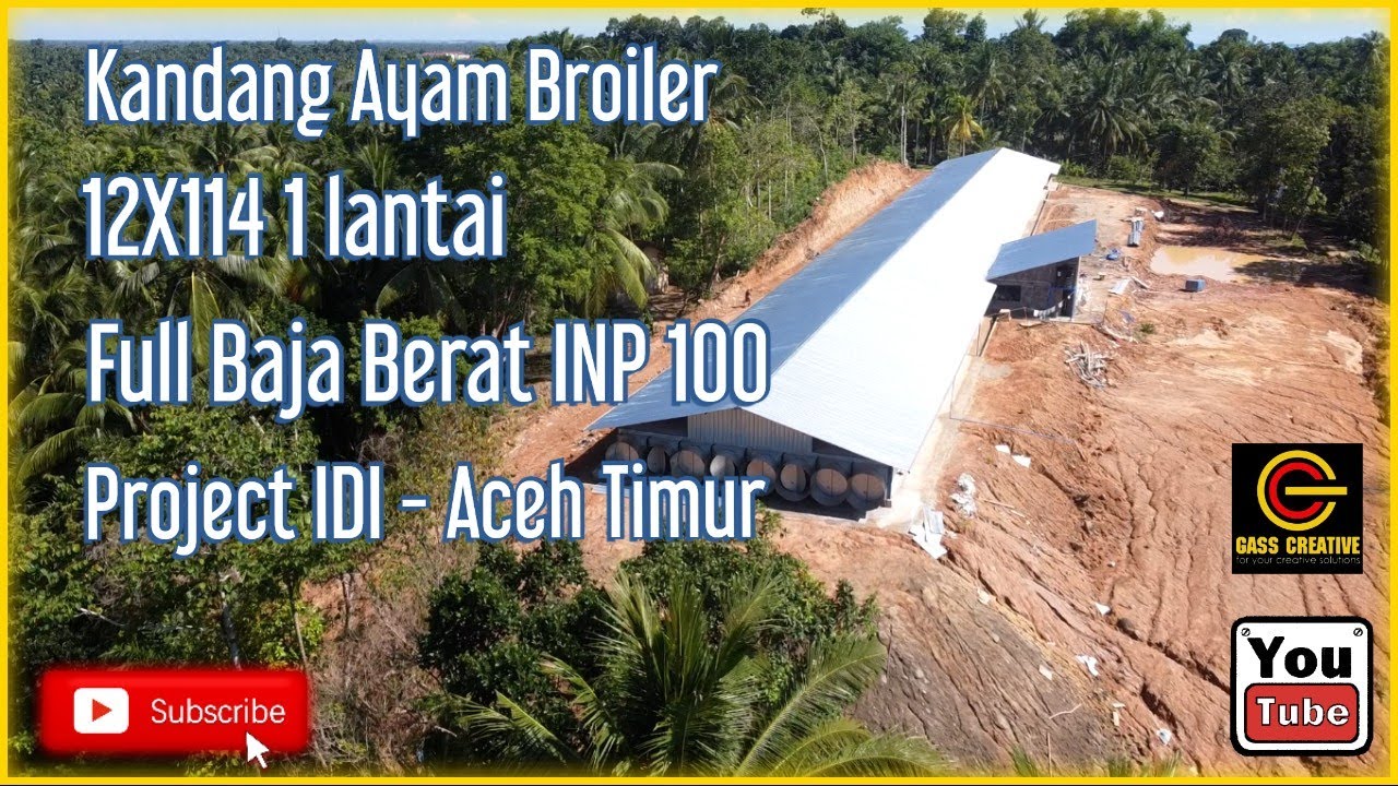 Kandang Ayam Broiler 12X114 1 lantai budget menyesuaikan