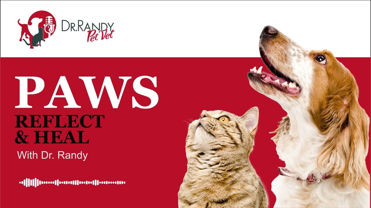 Paws, Reflect and Heal with Dr. Randy | Episode 6 | A Conversation with Pet Trainer Paul Blaushild