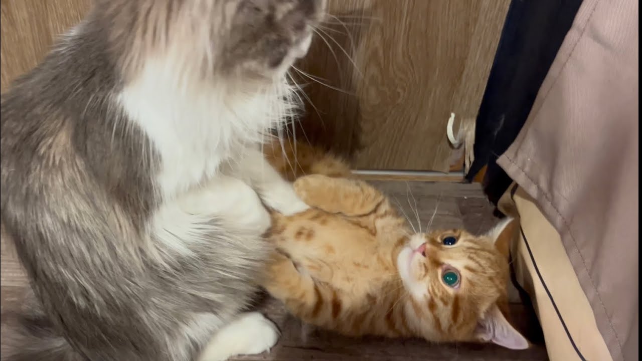 このあと、まさかの...！