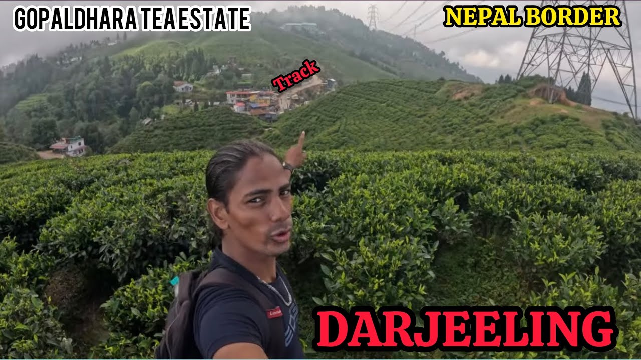 Gopal Dhara Tea Estate | Nepal Border  Darjeeling Tea Garden | Offbeat place to MIRIK HINDI VLOG 