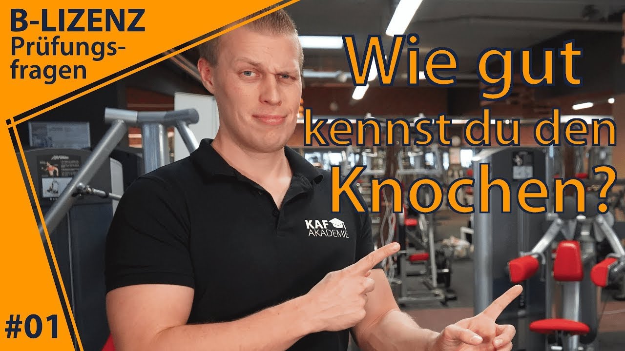 Welche Bestandteile eines Knochens gibt es? | B Lizenz Prüfungsfragen #01
