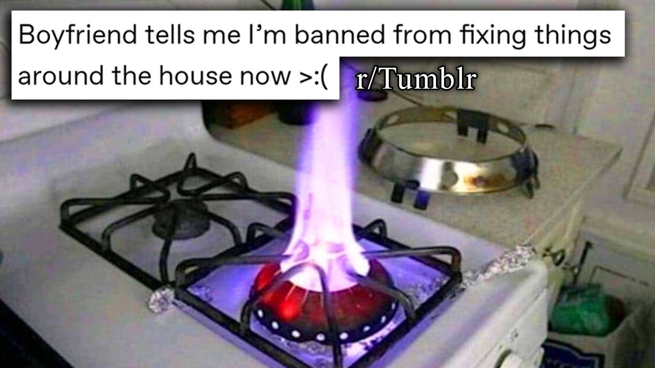 THE BEST OF r/TUMBLR