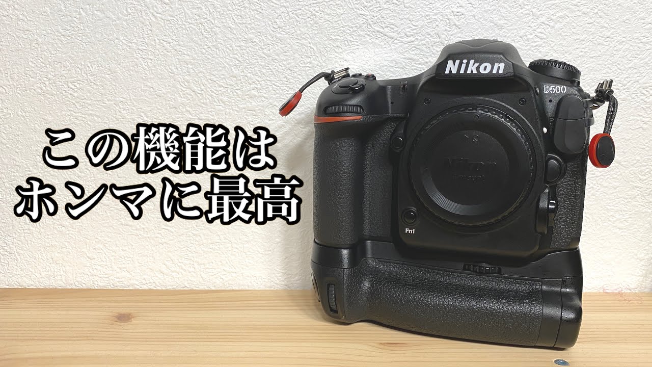 【時代に逆行雑談】D500（Nikon機）で野鳥撮影するならこれだけは絶対やって欲しい設定と注意点 - 枝抜き -