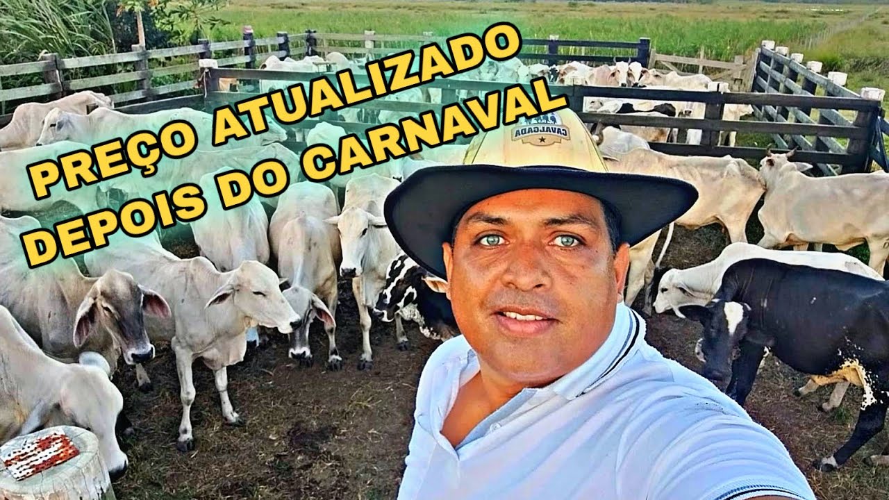 DEPOIS DO CARNAVAL O PREÇO VAI SUBIR OU ABAIXAR 
