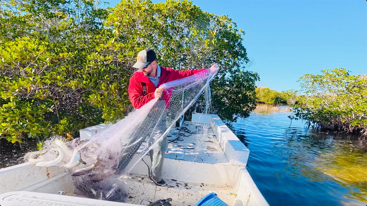 Mass Fish Kill? Cast Netting After the Freeze!!!