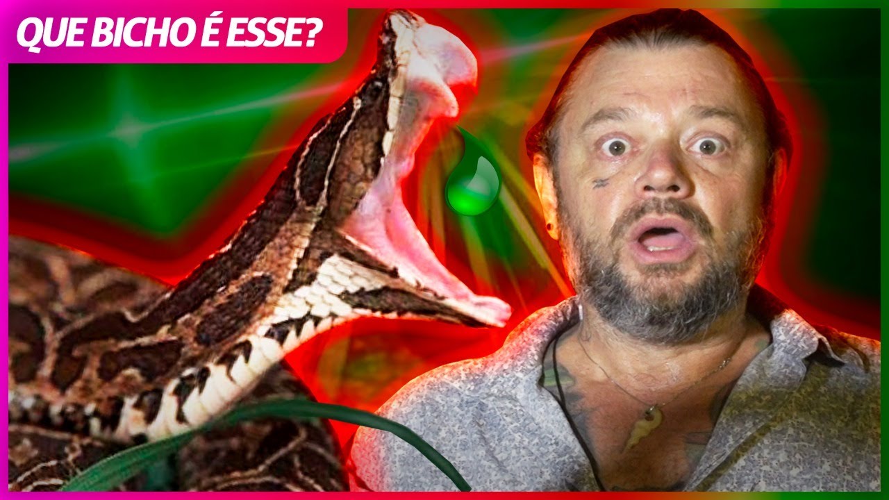 A JARARACA QUE PICOU MINHA CADELA! | RICHARD RASMUSSEN