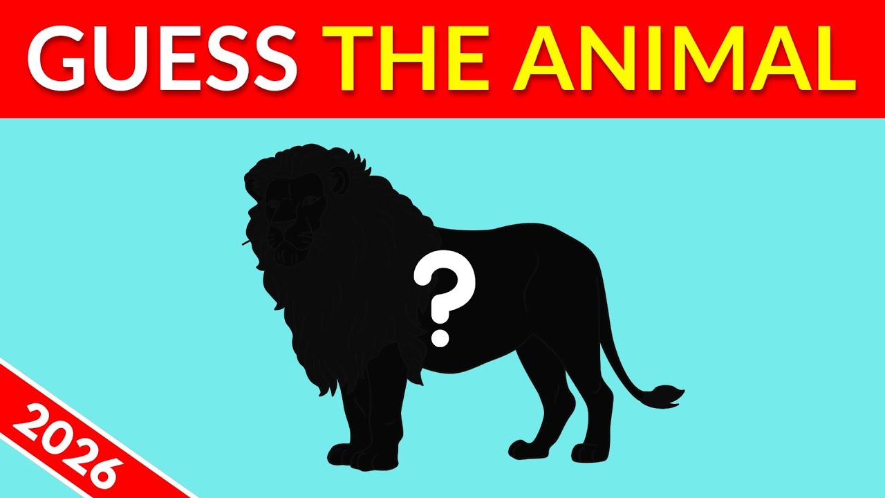 Guess The Animal by Shadow | Guess The Animal Quiz 
