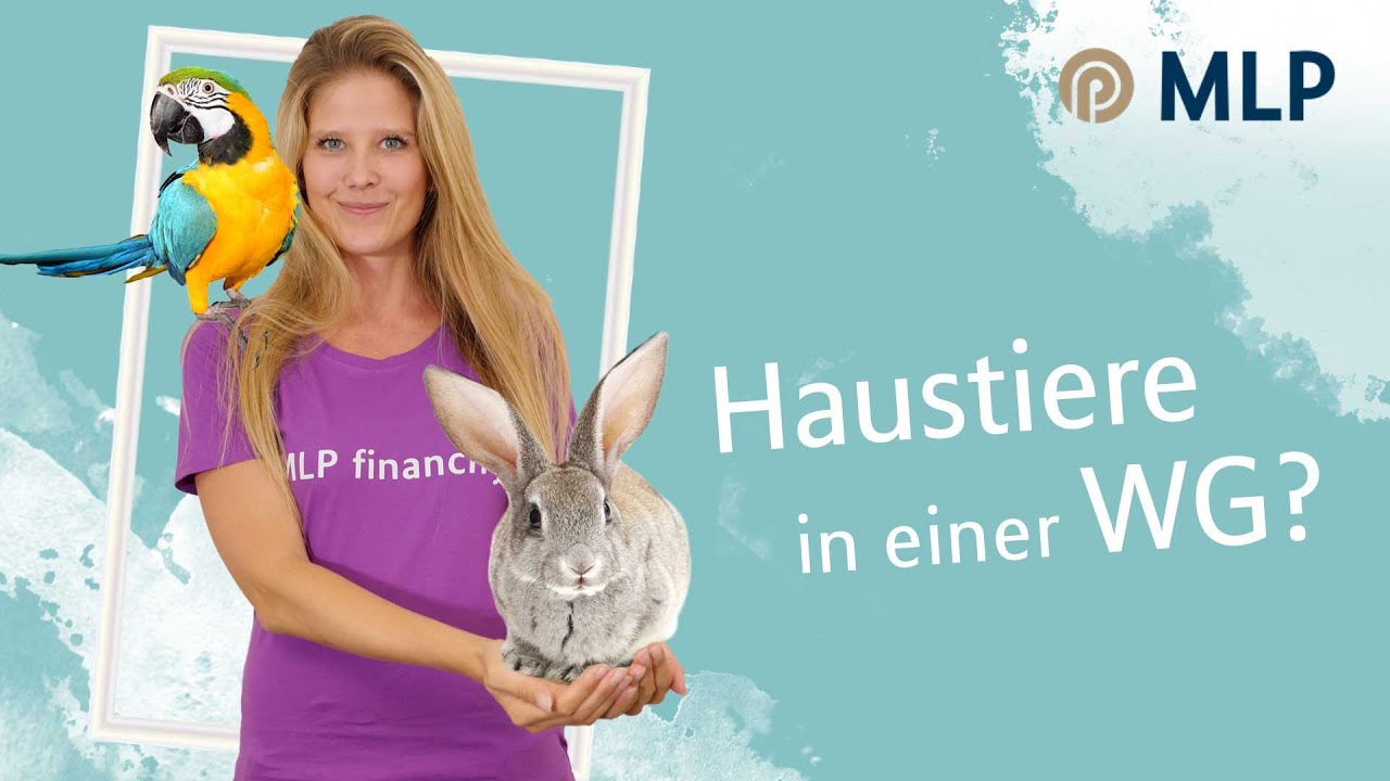 Haustier in einer WG - das gr&uuml;ne Sofa: Folge 24