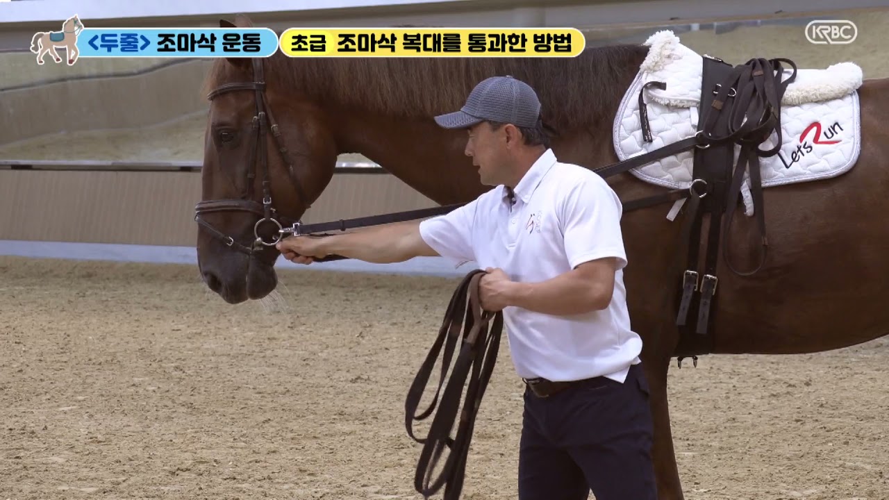 한국마사회 전재식 감독과 함께하는 조마삭 훈련