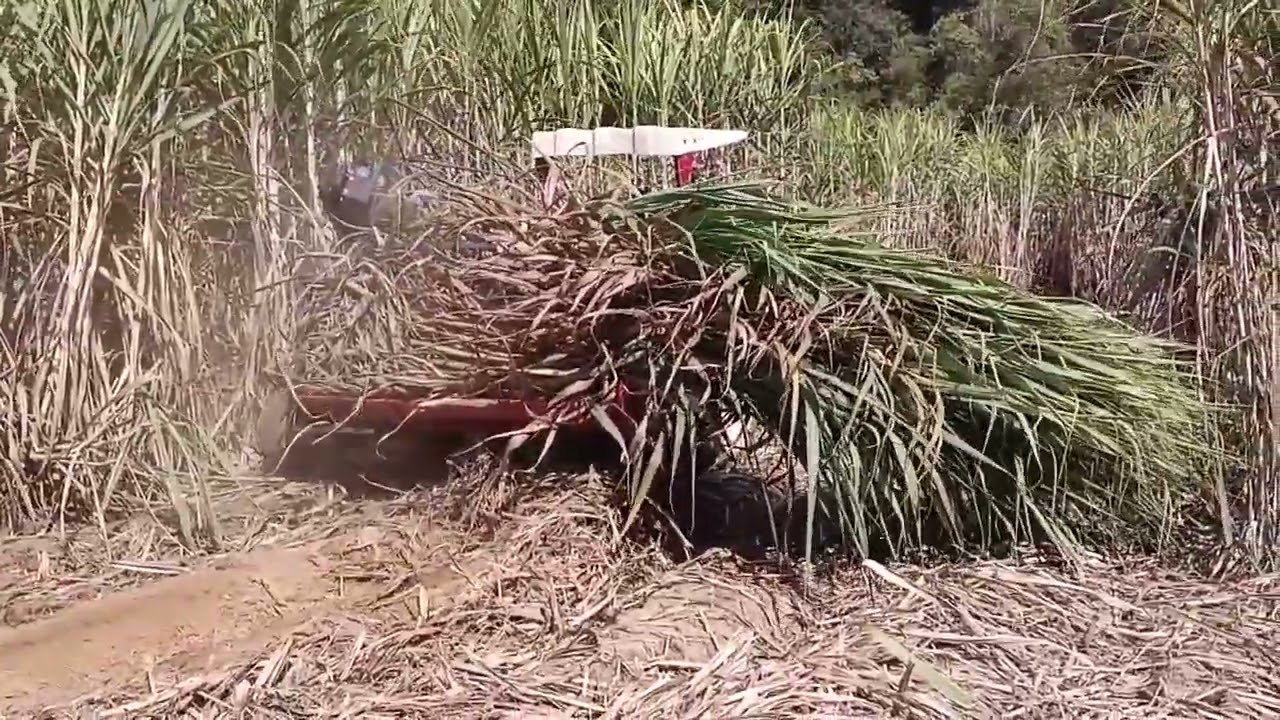 Sugar cane harvester tractor attachment cutting machine WA- 8618262494472