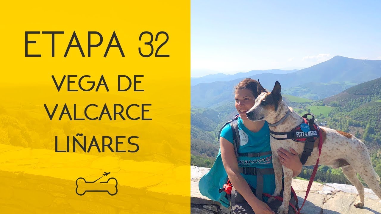 ETAPA 32: VEGA DE VALCARCE A LIÑARES | Camino de Santiago con perro