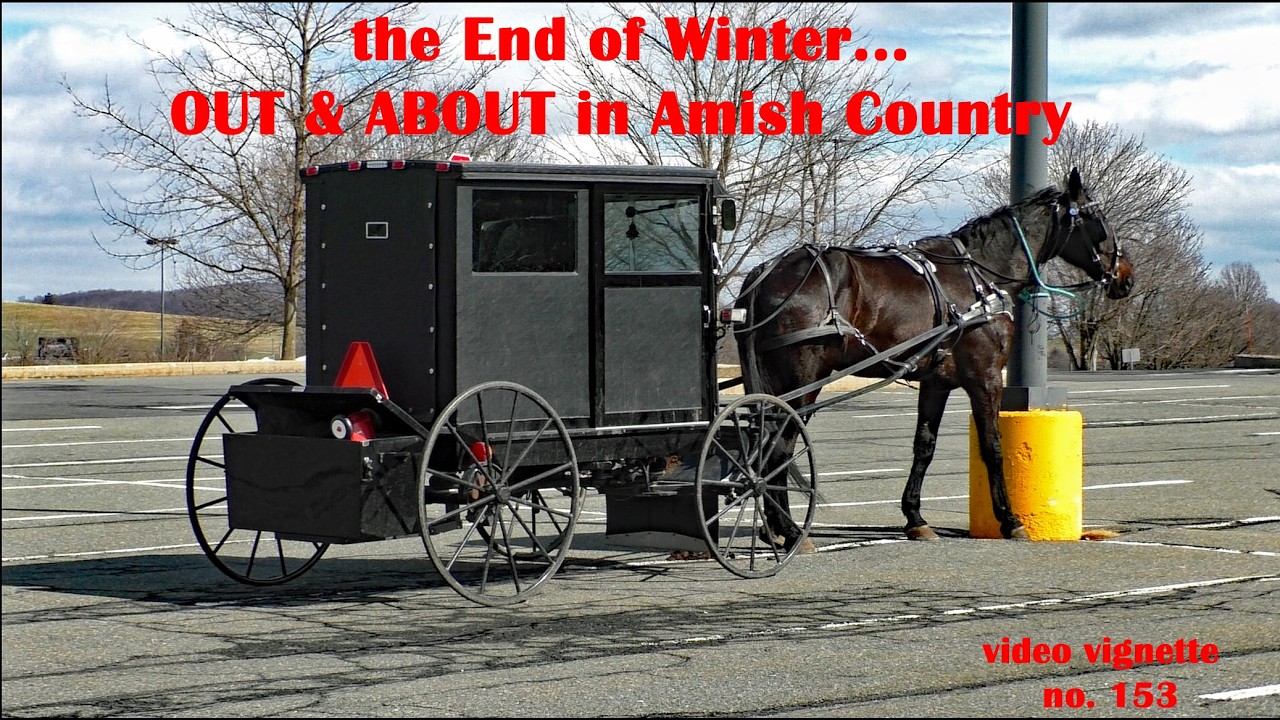 OUT & ABOUT in AMISH COUNTRY--Video Vignettes No. 153