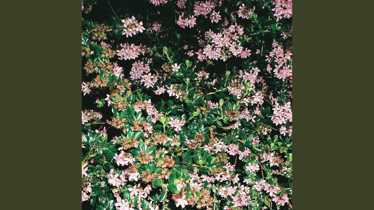 Wandering