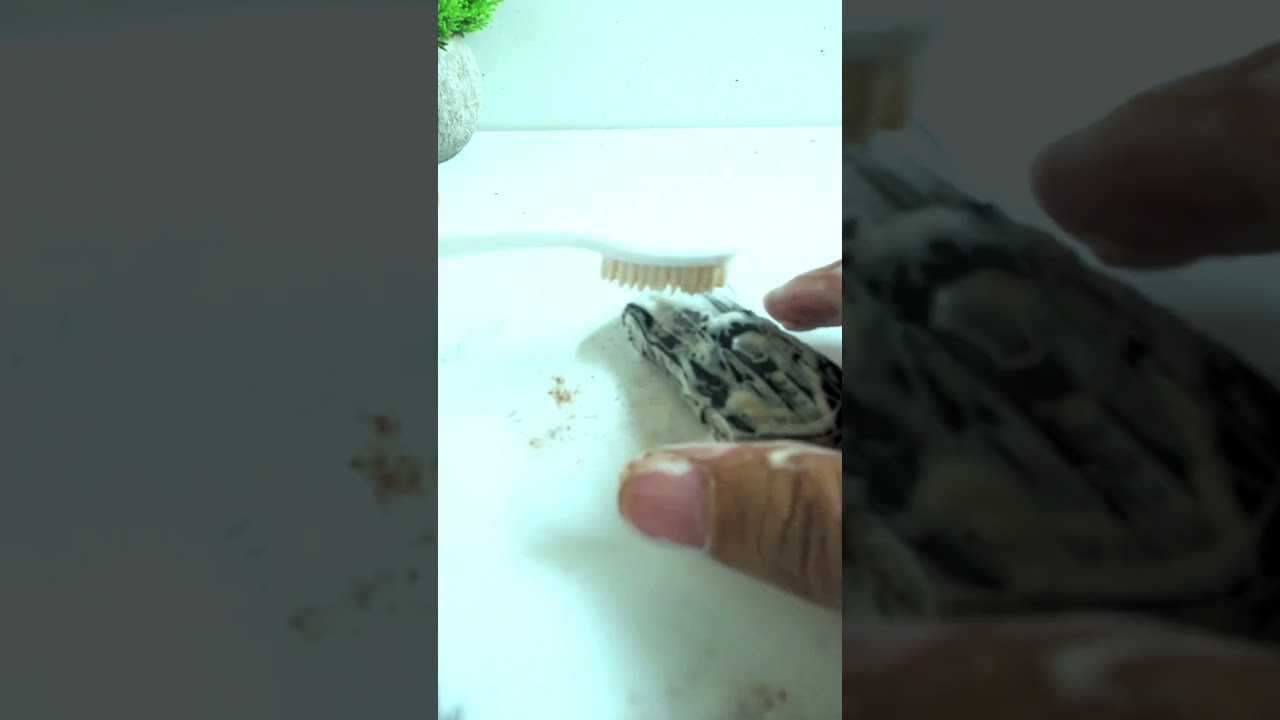 Restoring a Sport Car Toy - ASMR Cleaning
