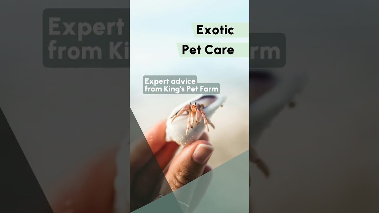 Exotic Pet Care