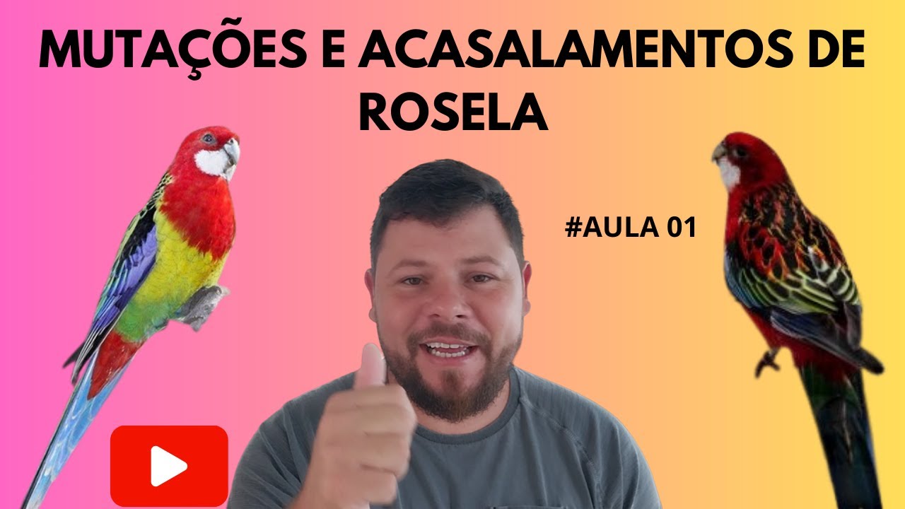 MUTAÇÕES E ACASALAMETOS DE ROSELA- AULA 01