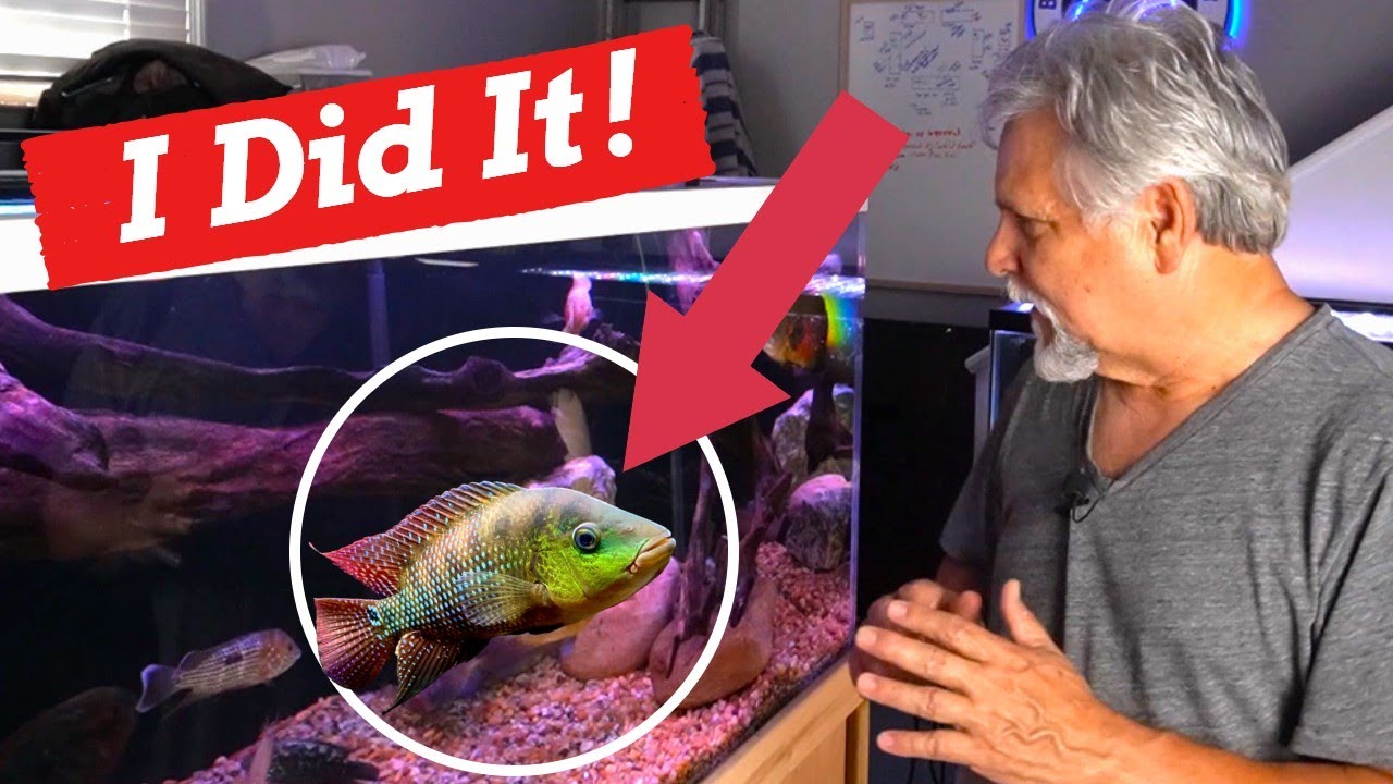 WILL THIS FISH be a *TERROR* or be *TERRORIZED?*