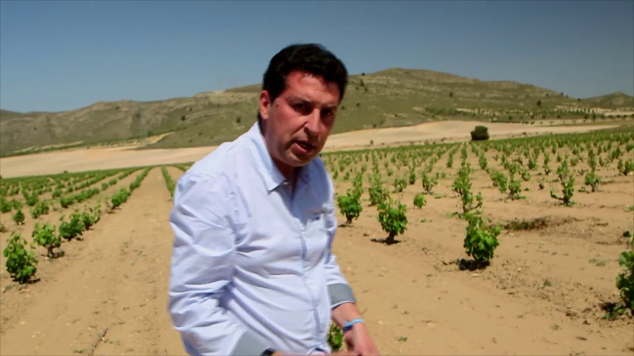 En Ruta con la Guía. Bodegas Juan Gil - D.O.P. Jumilla