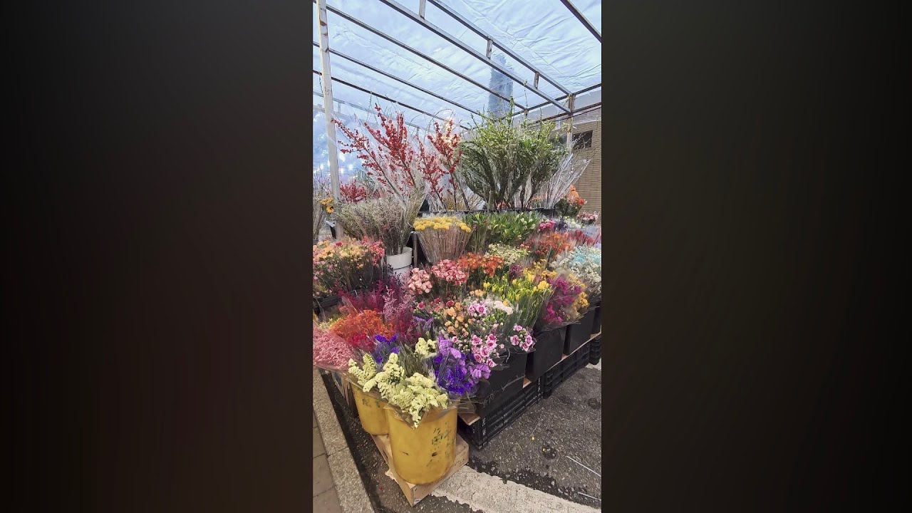 旺角花墟盛况 Mong Kok Flower Market. HONG KONG 