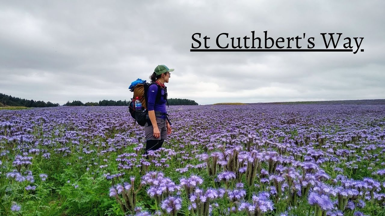 St Cuthbert's Way - 62miles walk to Holy Island