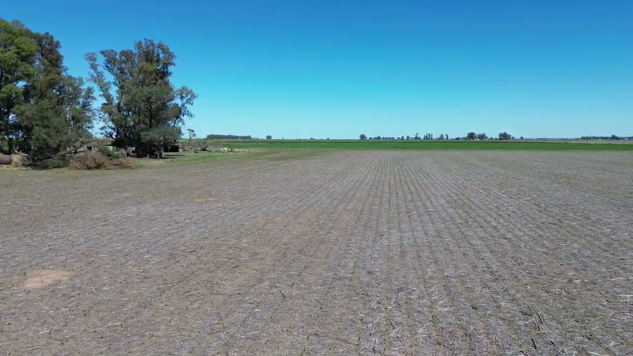 DJI 0221