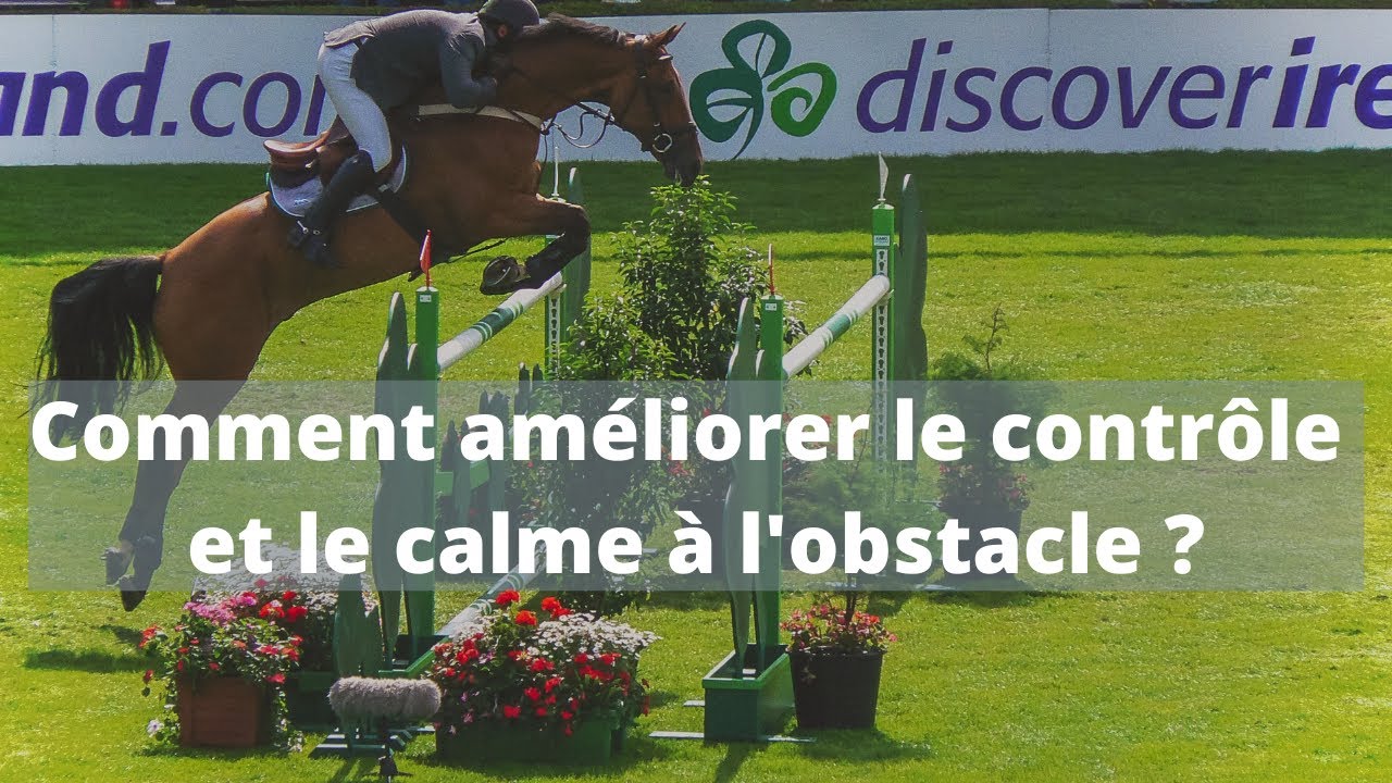 Améliorer le contrôle et le calme du cheval en saut d'obstacles