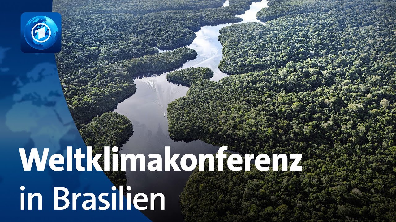 Weltklimakonferenz in Brasilien: Erwartungen vor der COP30
