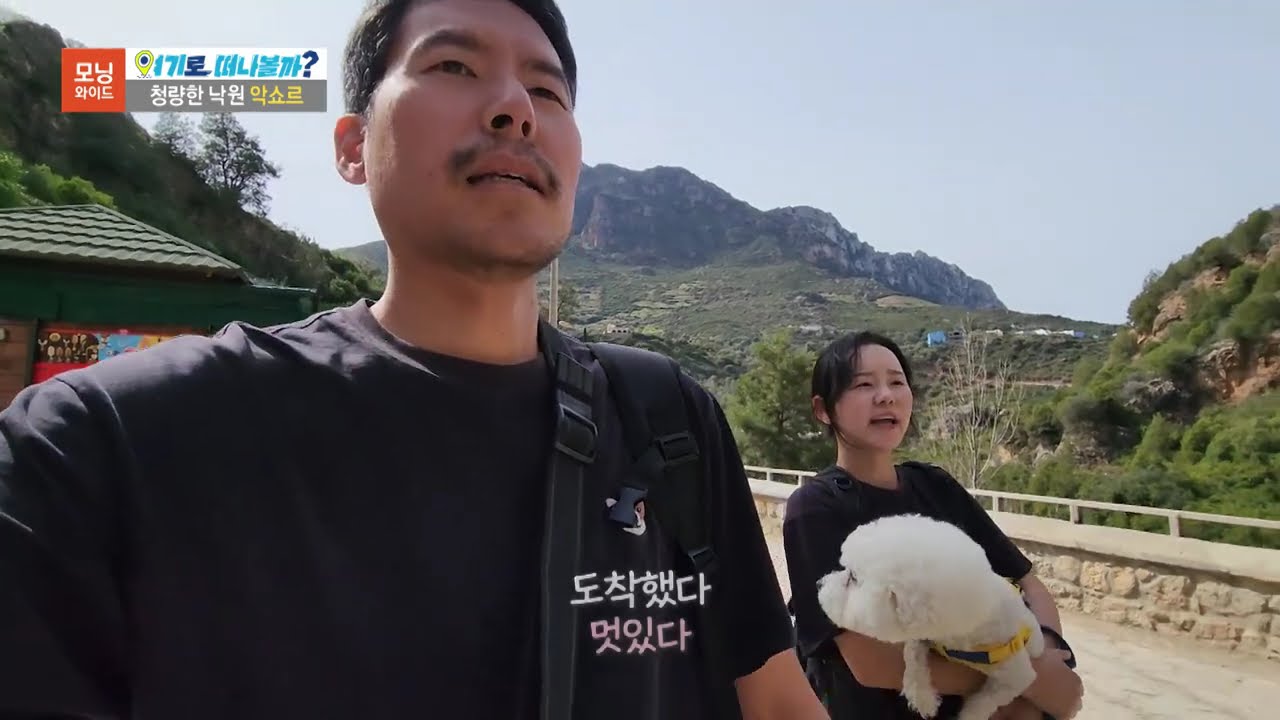 저희 방송 또 나왔어요! SBS 모닝와이드 여기로 떠나볼까 반려견과 떠나는 세계여행 모로코편 애견동반 모로코 여행