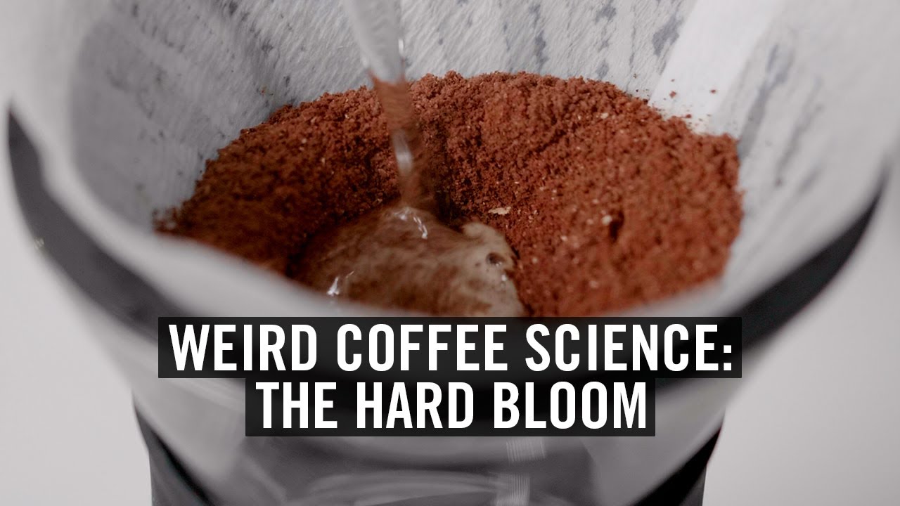 Weird Coffee Science: The Hard Bloom