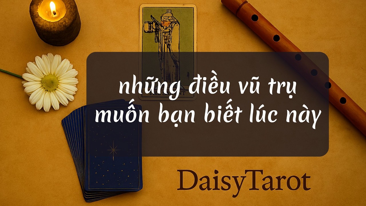 Những điều vũ trụ muốn bạn biết lúc này #daisytarot #tarotreader #tarotreading