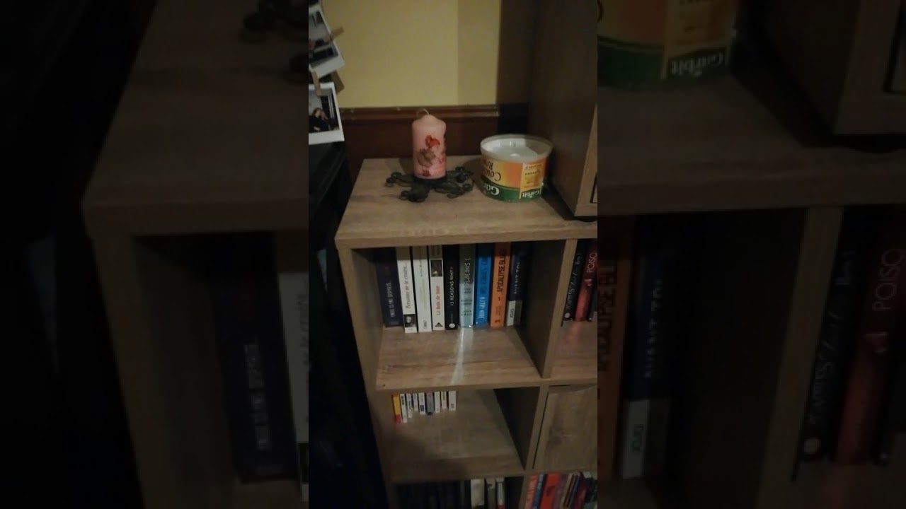 Bookselftour &eacute;t&eacute; 2019 partie 2