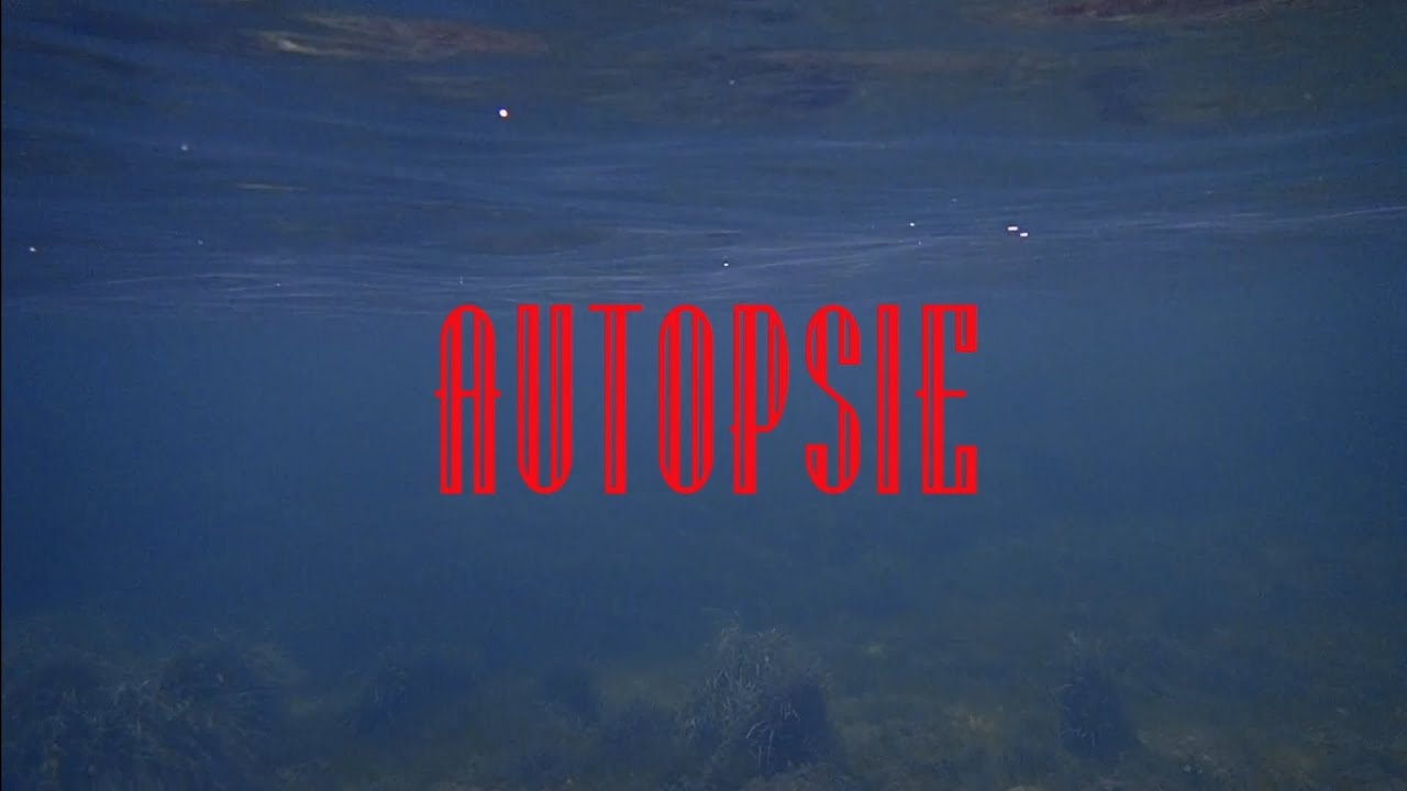 DILUVIENNE - Autopsie