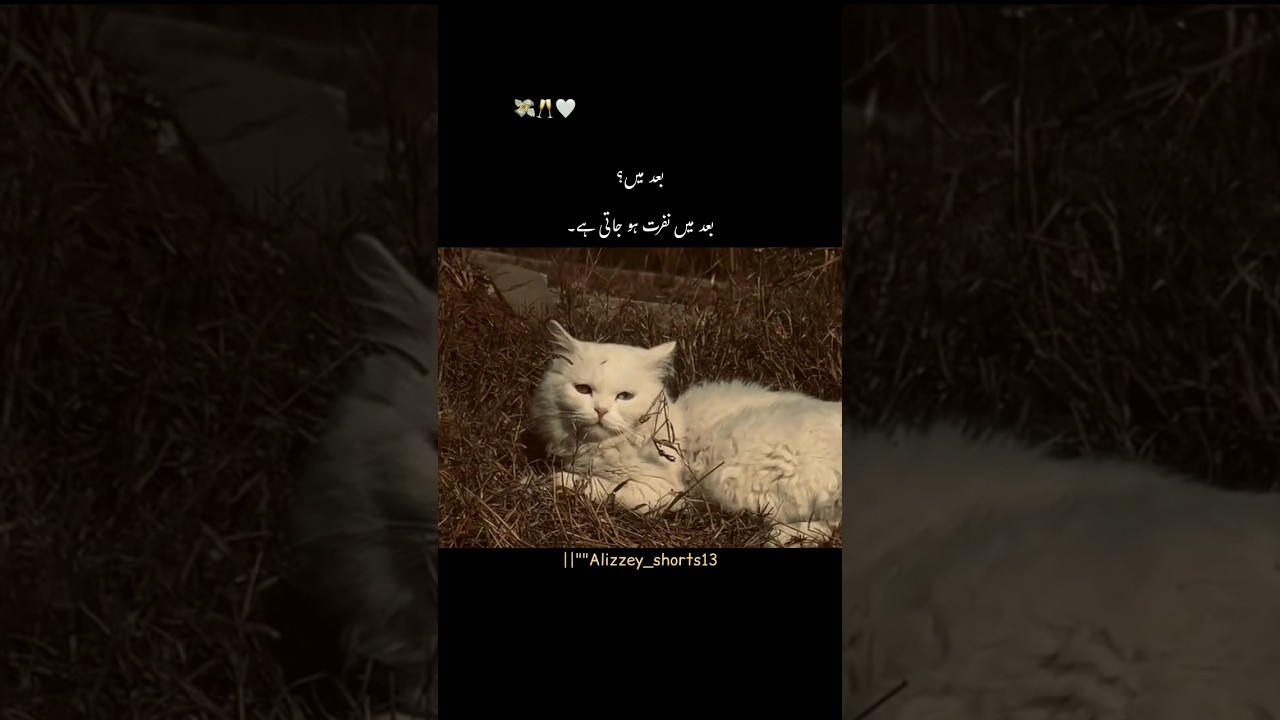 Deep Urdu Lines||#UrduPoetry #DeepLines #SadReality #HeartTouching #EmotionalLines  #PoetryShorts