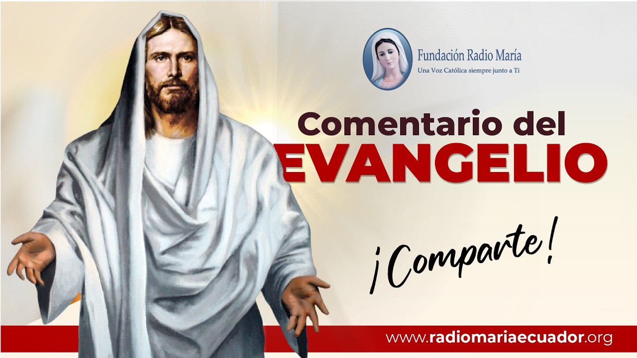 Reflexiones del Evangelio: 13 de febrero de 2026 - Inspiración diaria sobre las escrituras