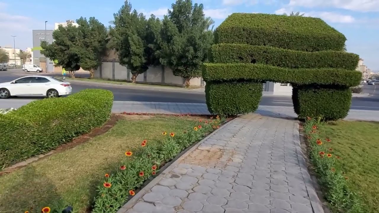من أجمل الدوارات في المدينة المنورة ومشي في حي بئر عثمان بن عفان رضي الله عنه ، الأزهري