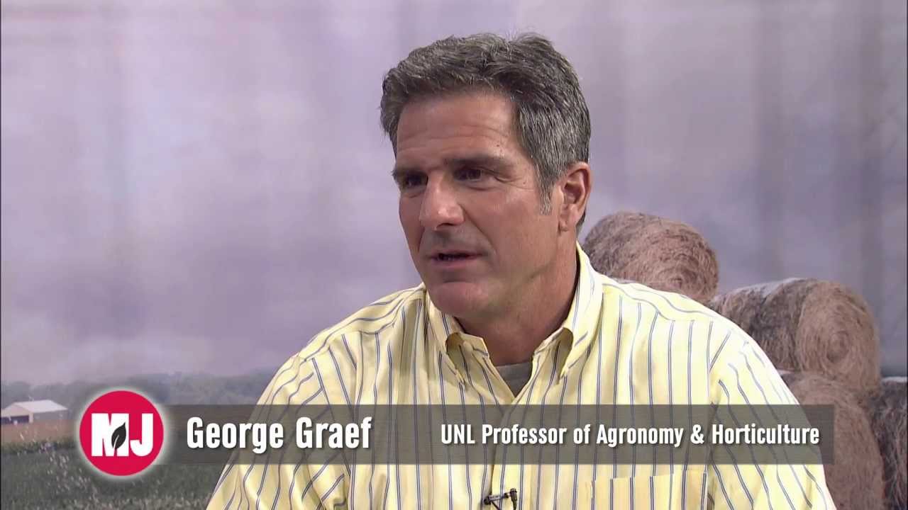Soybean Research in Chile - George Graef - March 21, 2014