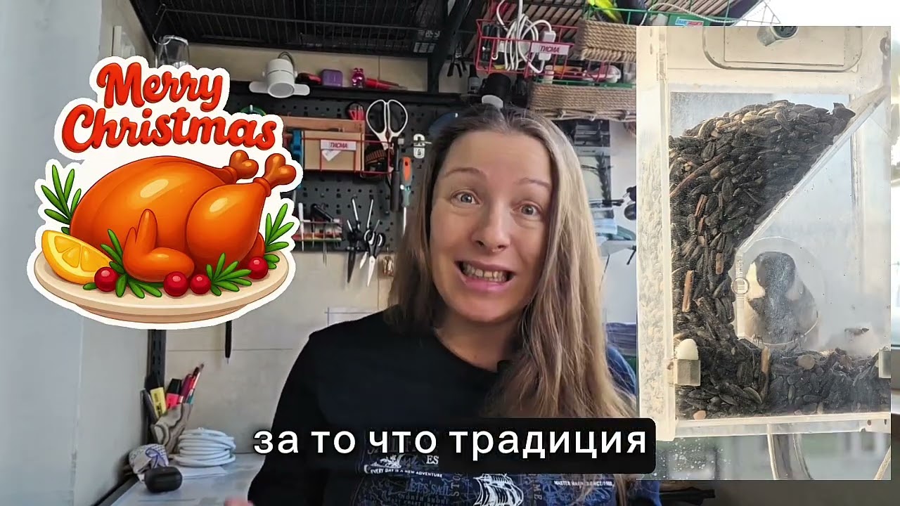 ПЯТЬ событий прошлой недели, не считая снегопада: гусь, лёд, метеостанция и биохимия!