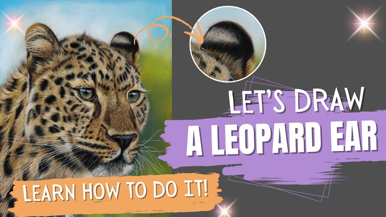 How to Draw a Leopard Ear with Pastel Pencils - Step by Step Tutorial