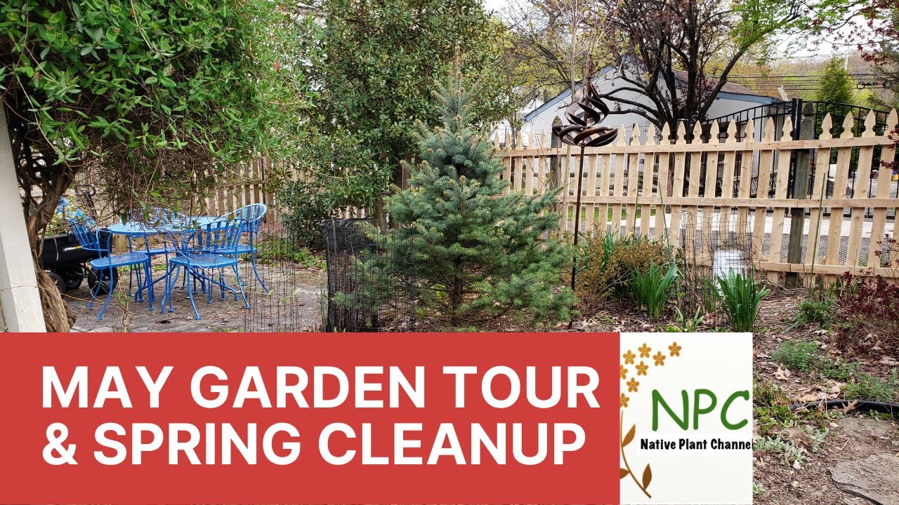 May Garden Tour & tips for eco-friendly cleanup! #native plant garden #pollinator garden