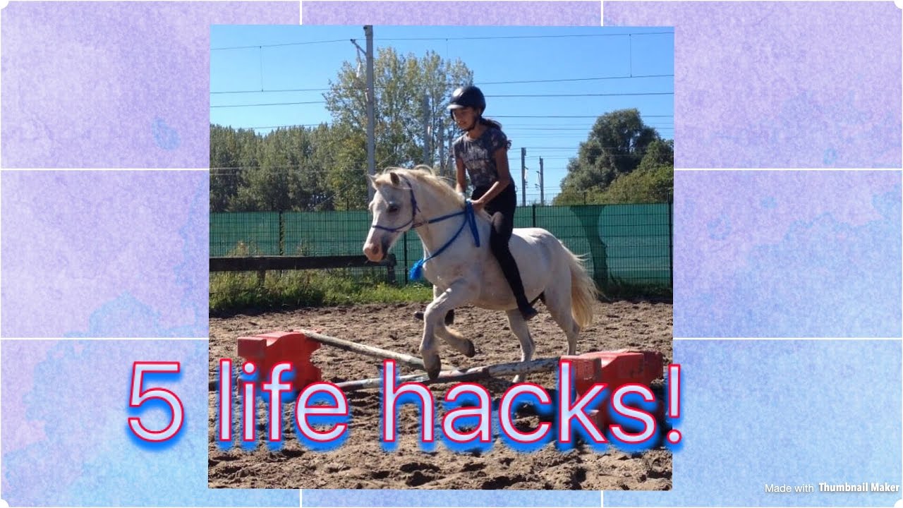 5 Paarden Life hacks!