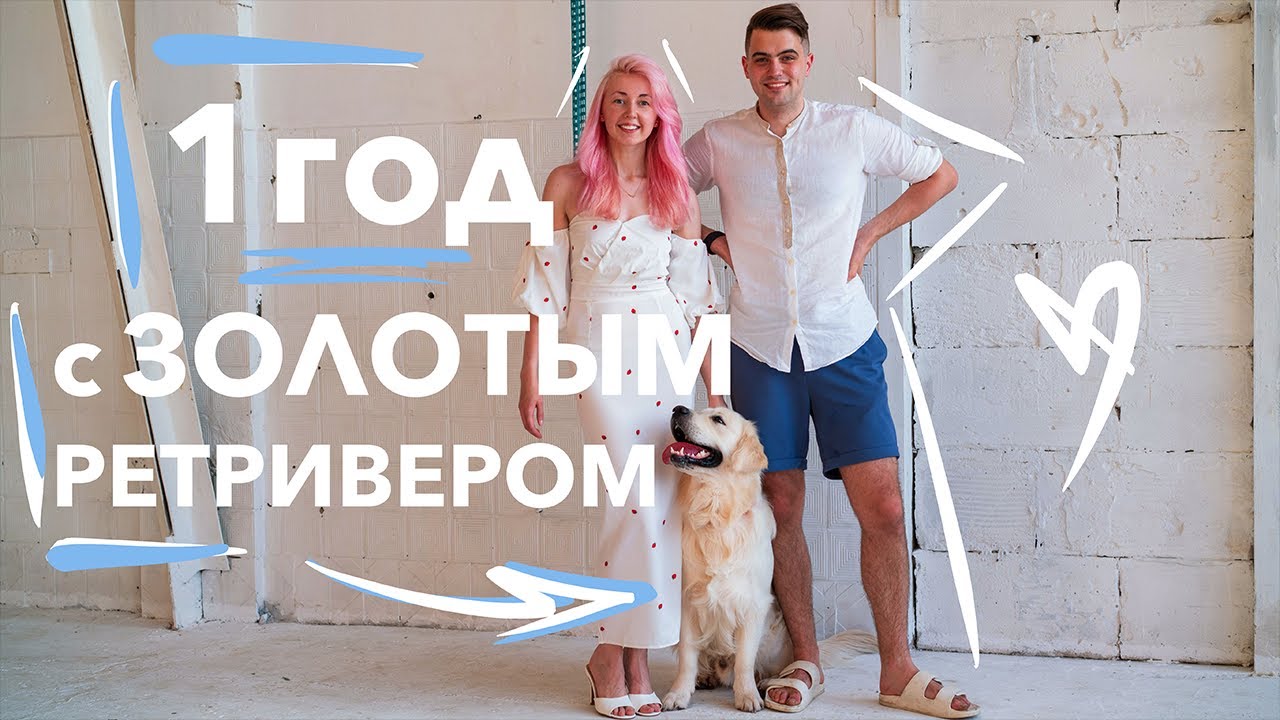 1 ГОД С ЗОЛОТИСТЫМ РЕТРИВЕРОМ